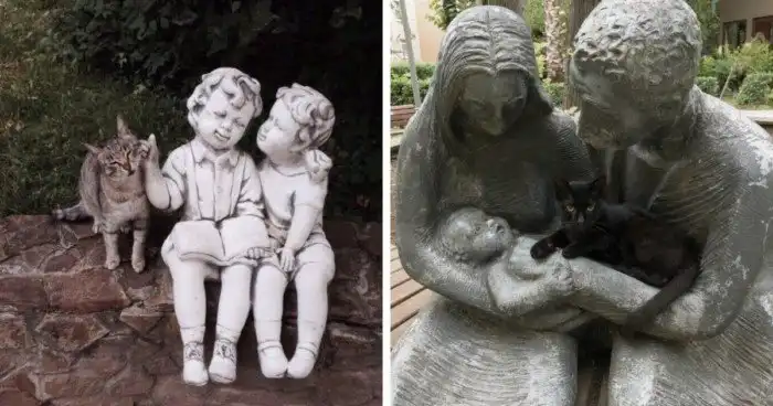 Несколько случаев, когда котики стали украшением статуй Несколько случаев, когда котики стали украшением статуй