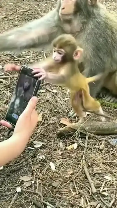 Не приучайте ребенка к гаджетам Не приучайте ребенка к гаджетам