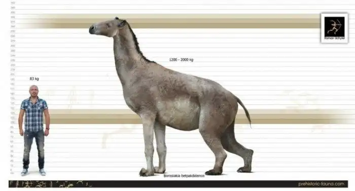 Борисякия: Казахский «жираф» древности. Полу-лошадь полу-носорог из Азии, что мог бы заглянуть в квартиру второго этажа