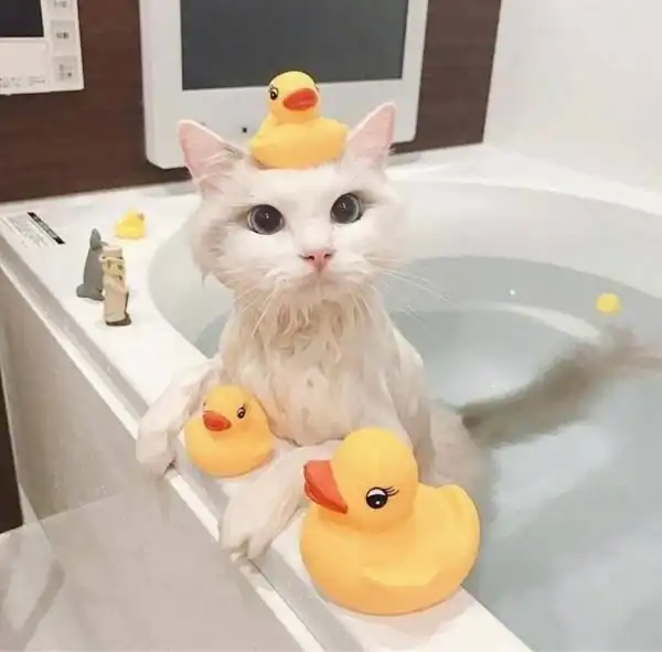 Фотоподборка