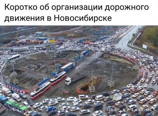 Смешные и познавательные картинки
