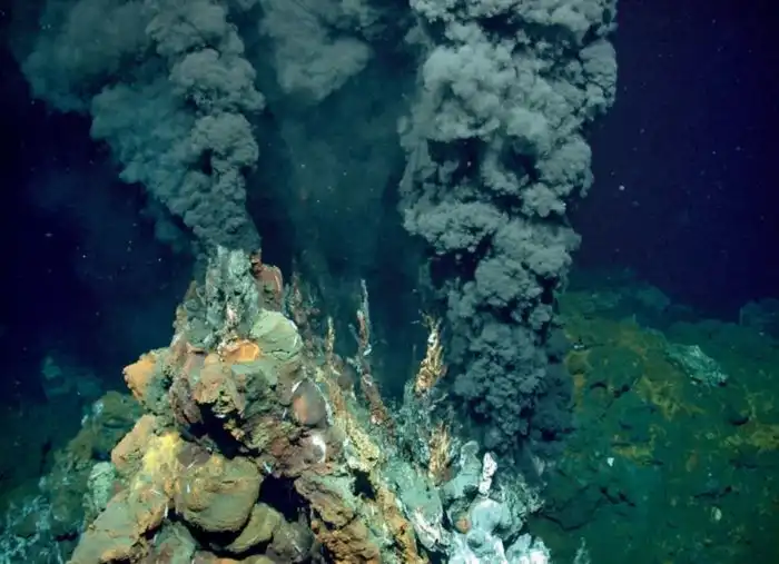 Вулканоктопус гидротермальный: Он живёт в токсичном кипятке чёрных курильщиков на огромной глубине. Загадочный хищный осьминог