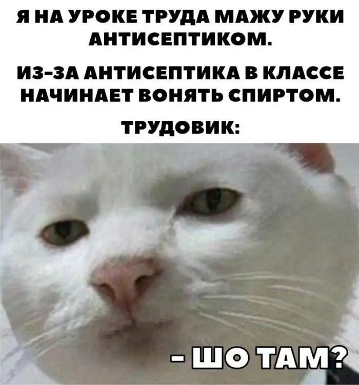 Если бы не физкультурник с трудовиком, то и вспомнить бы было нечего Если бы не физкультурник с трудовиком, то и вспомнить бы было нечего