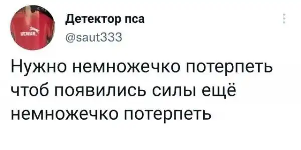 Скрины из соцсетей