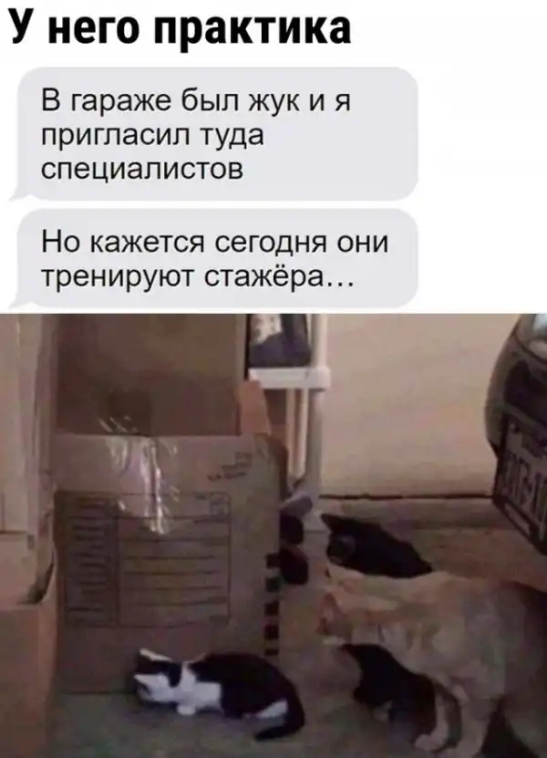 Так себе картинки