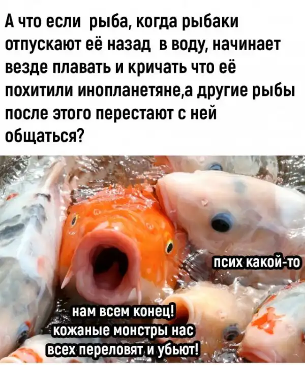 Так себе картинки