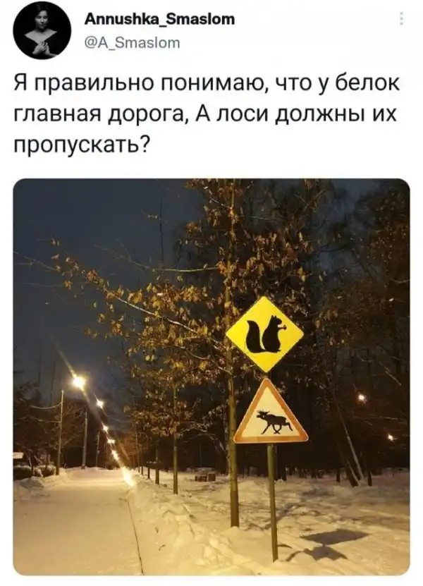 Немного картинок для настроения