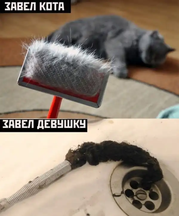 Весёлые