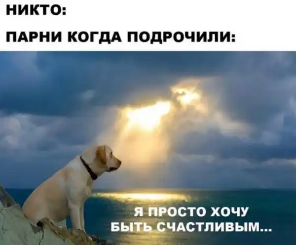 Мемы для взрослых