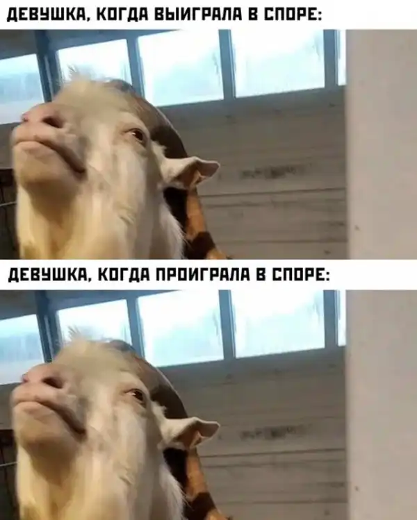 Весёлые