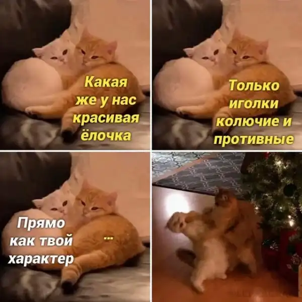 Весёлые