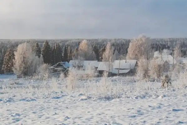 Снег и мороз в деревне