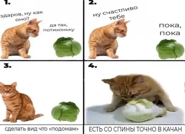 Картинки на уровне