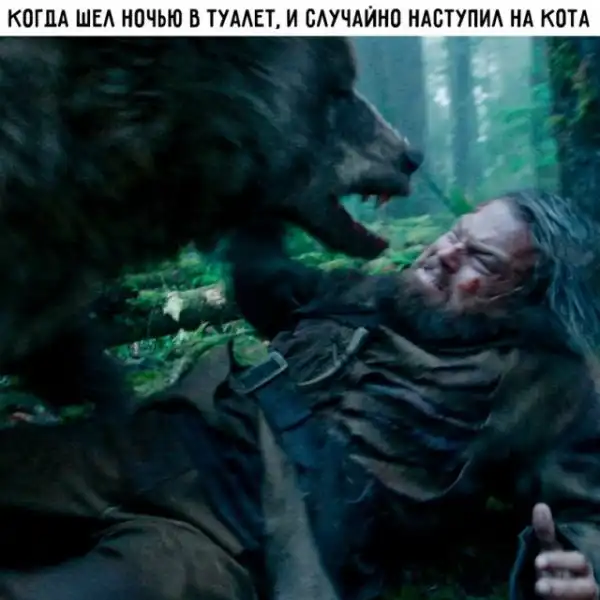 Весёлые