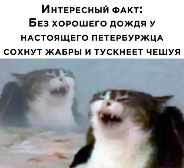 Смешные и познавательные картинки