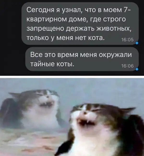 Скрины из соцсетей