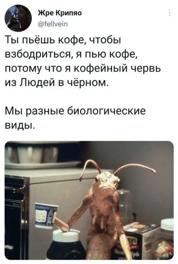 Скрины из соцсетей