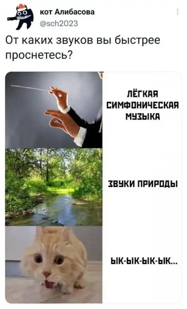 Скрины из соцсетей