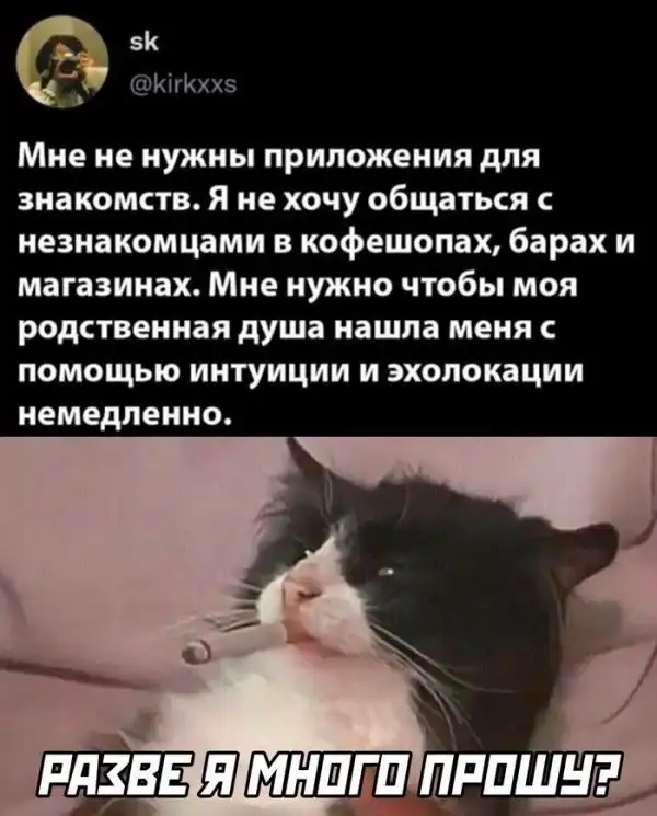 Скрины из соцсетей