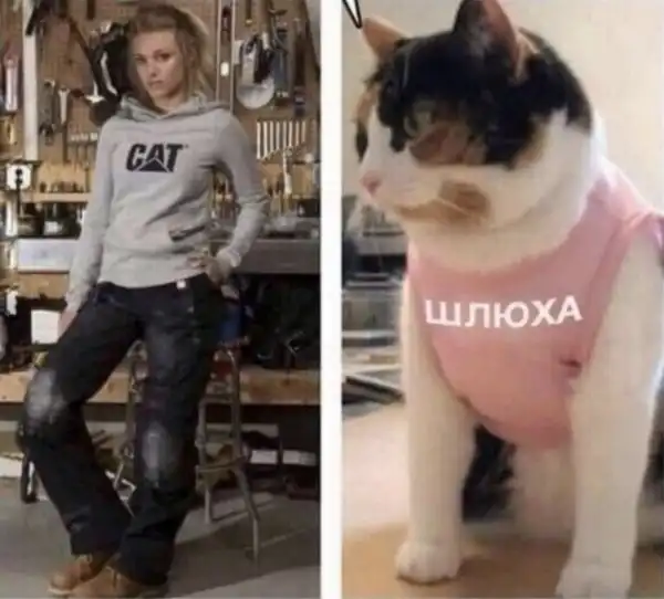 Смешные и познавательные картинки