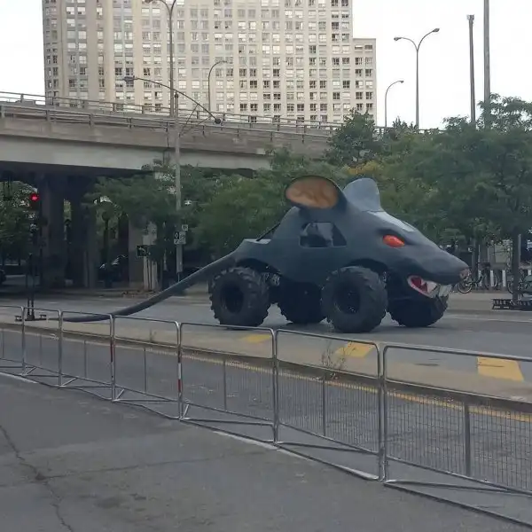 Фотоподборка