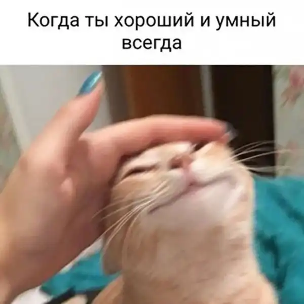 Смешные и познавательные картинки