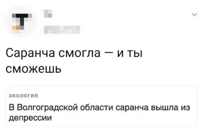 Сначала люди говорят, что у них нет депрессии, а потом делают такие посты Сначала люди говорят, что у них нет депрессии, а потом делают такие посты