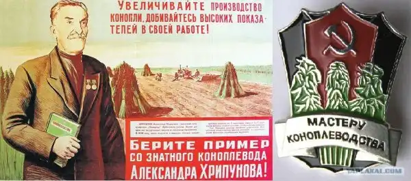 Прикольные и просто красивые картинки