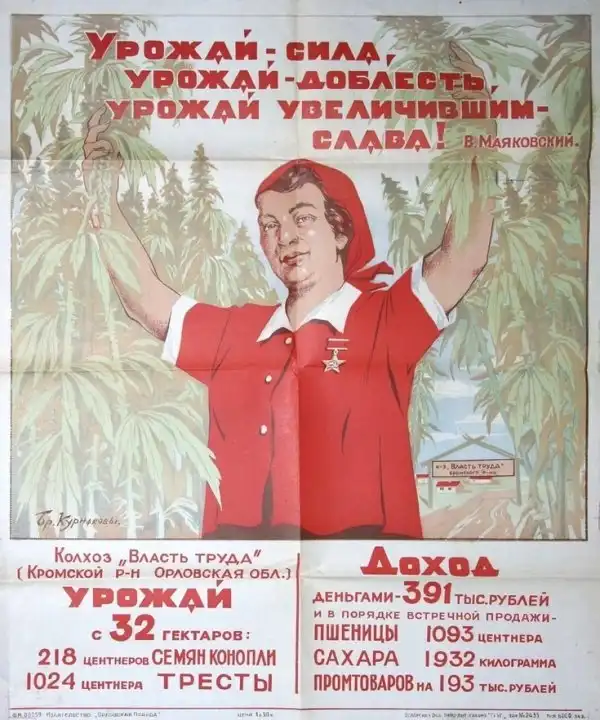 Прикольные и просто красивые картинки