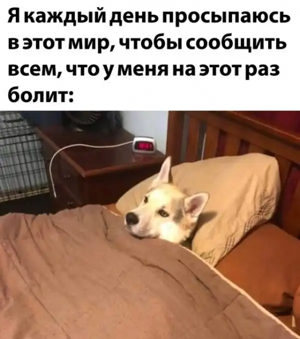 Весёлые