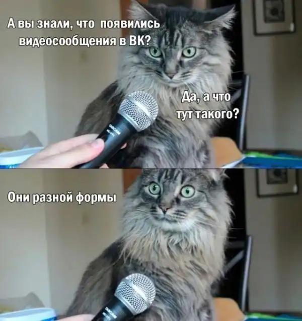 Весёлые