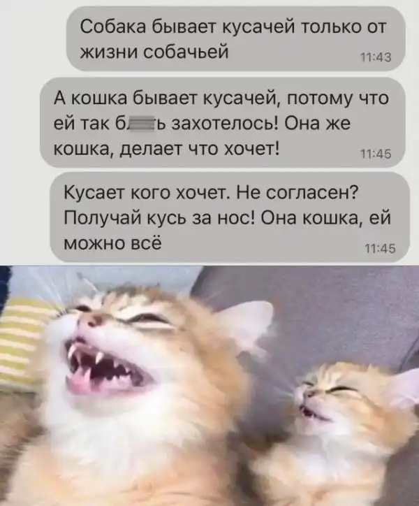 Так себе картинки