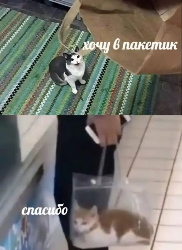 Немного картинок для настроения