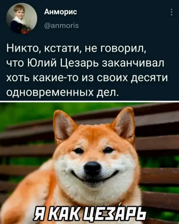 Картинки и мемы