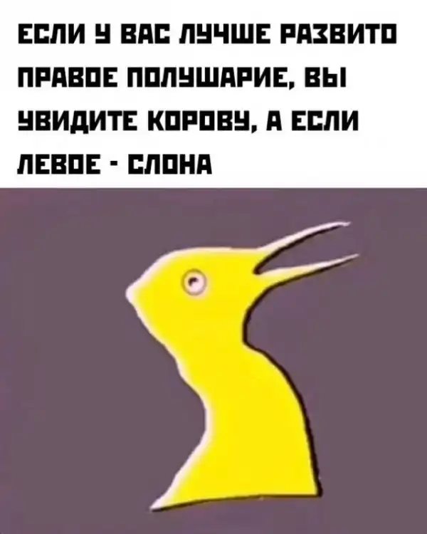 Картинки и мемы