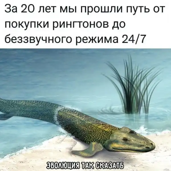Картинки и мемы