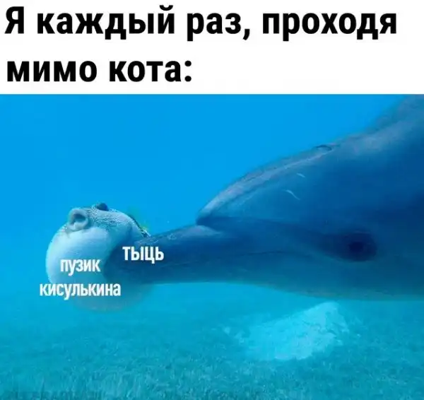 Так себе картинки