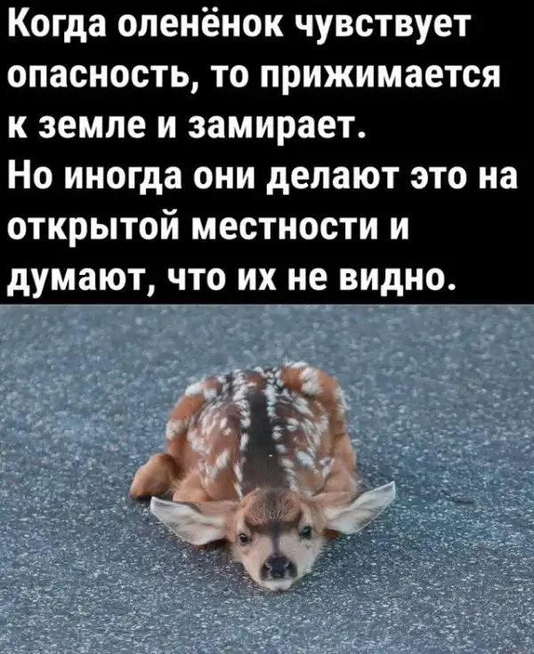 Так себе картинки