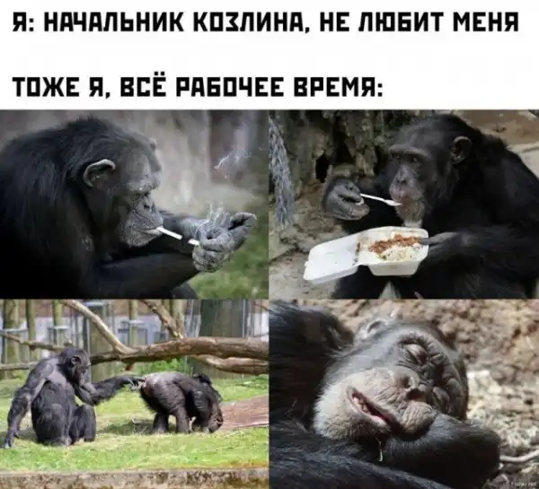 Немного картинок для настроения