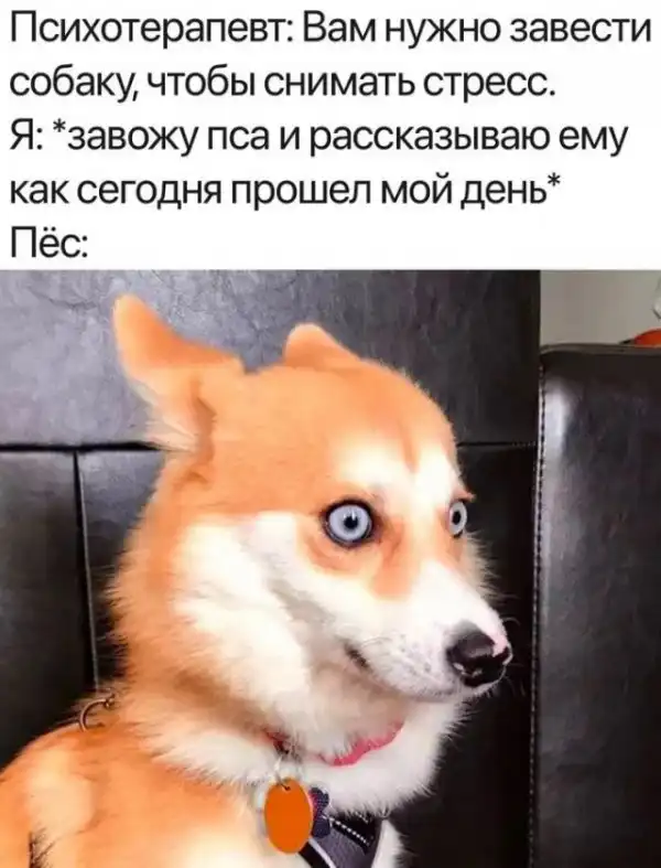 Немного картинок для настроения