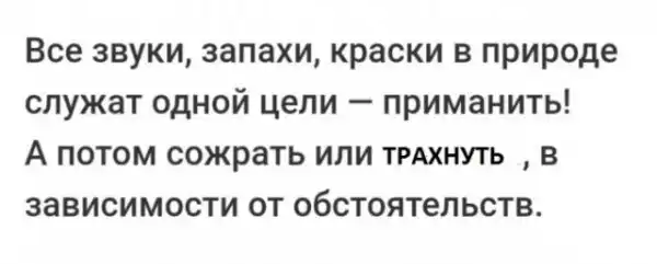 Безсистемная подборка