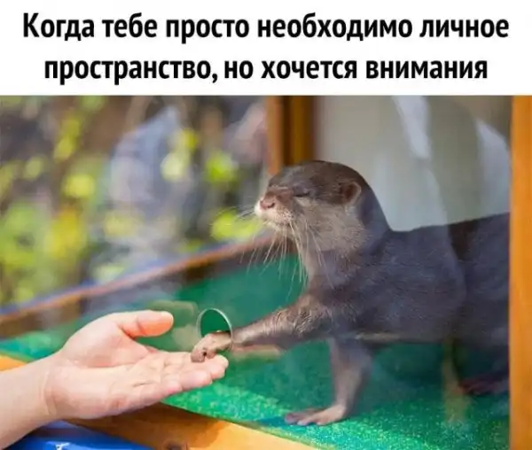 Немного картинок для настроения