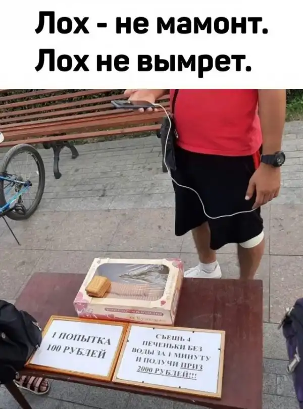 Весёлые