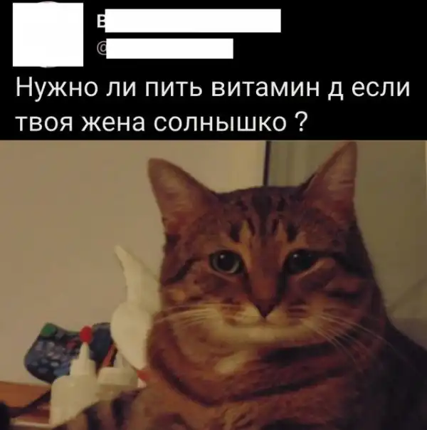 Весёлые