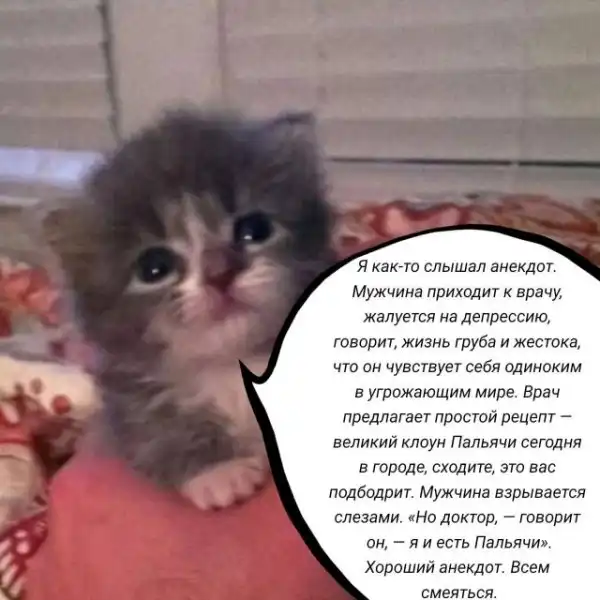 Мемы для взрослых