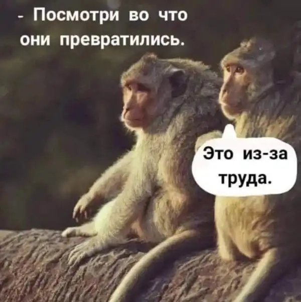 Нестандартный юмор :)