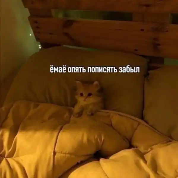 Нестандартный юмор :)