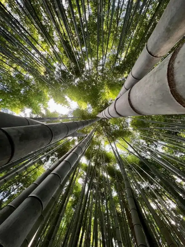 Фотоподборка
