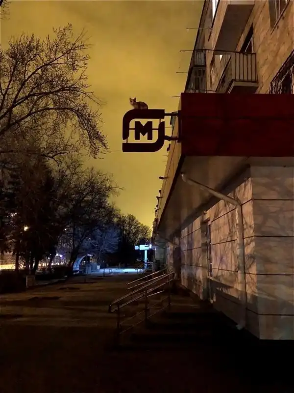 Фотоподборка
