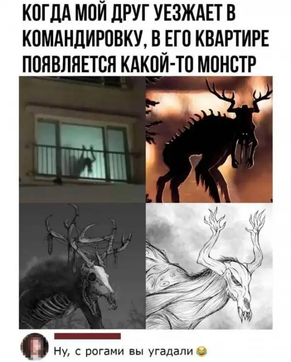 Скрины из соцсетей